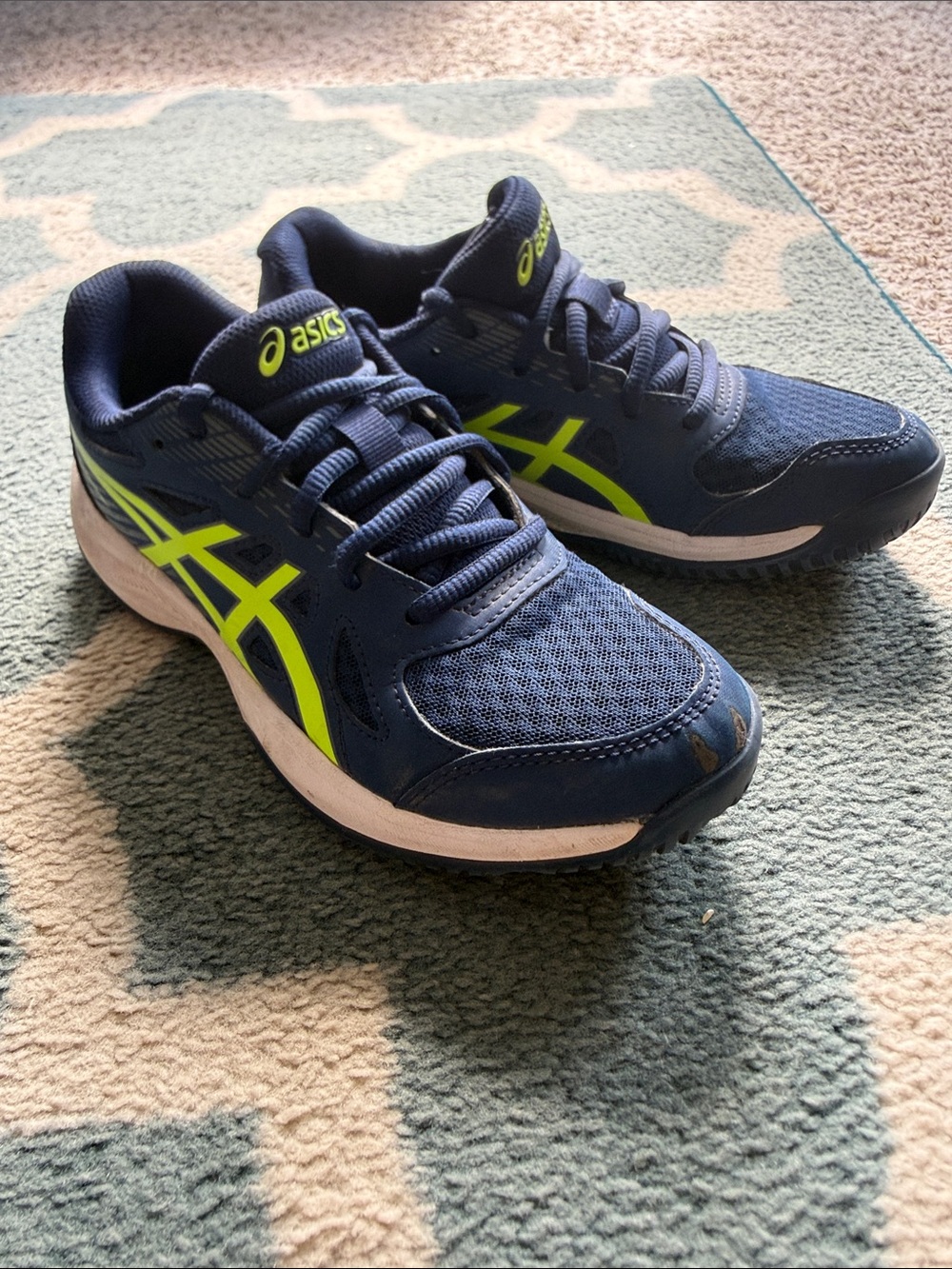 ASICS Navy And Neon Green Sneakers